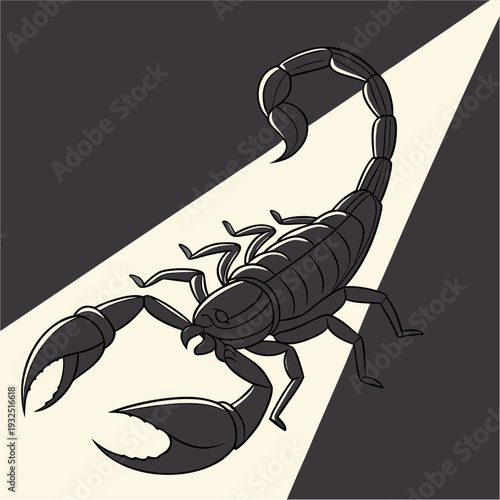 Scorpion in Spotlight.

