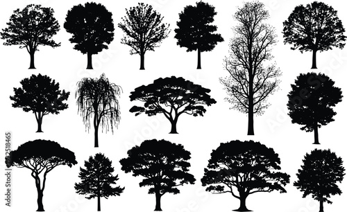 Silhouettes of diverse tree species with unique foliage patterns, forest nature concept, botanical study, woodland landscape illustration design