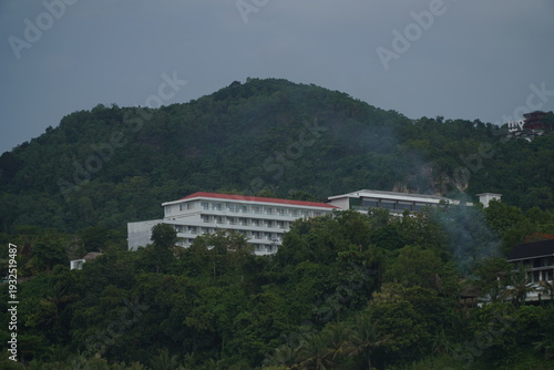 Wallpaper Mural Building on a Hill Densely Covered with Trees Torontodigital.ca