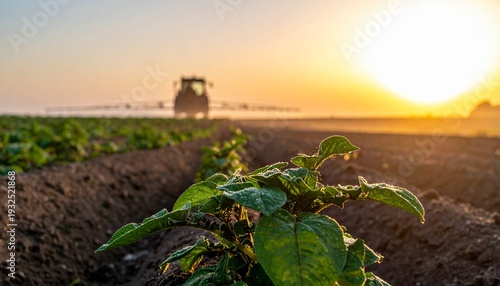 Agricultural landscape with tractor spraying crops at sunrise symbolizing sustainable farming and modern agriculture.