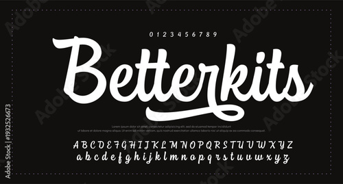  Brush Script Logotype Font lettering handwritten  
by sufan