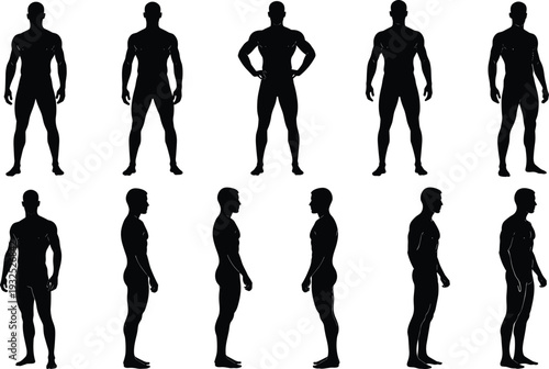 Silhouettes of human figures front side views diverse postures anatomy posture analysis ergonomic character design illustration