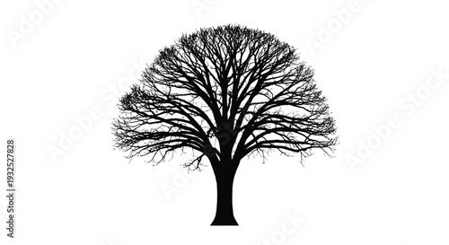 A solitary bare tree stands prominently against a bright white backdrop presenting a striking silhouette high quality professional detailed