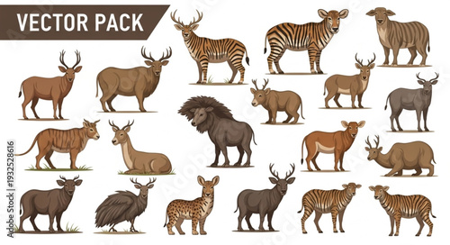 Diverse collection of detailed illustrations of various wild animals in a vector pack.