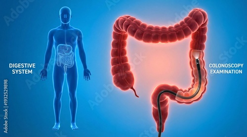 Human digestive system and detailed colonoscopy examination illustration showing the procedure and anatomy of the colon and rectum for medical education and healthcare professionals.