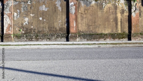Wallpaper Mural Grunge boundary wall with cracked plaster, moss and weeds.  Sidewalk and street in front. Urban background for copy space. Torontodigital.ca