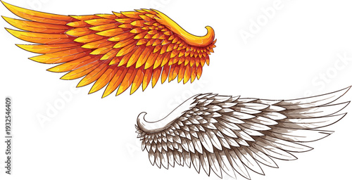 Detailed fantasy wing vector illustration set with golden and monochrome feathered angel wings for mythology, tattoo, logo, game art, and mystical design projects