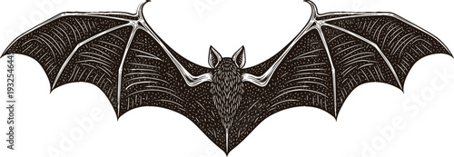 Vintage bat engraving style vector illustration with spread wings, detailed line art animal symbol for Halloween, gothic, tattoo, logo, and dark fantasy designs