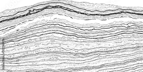 Detailed black and white illustration of geological strata and rock layers, natural abstract patterns