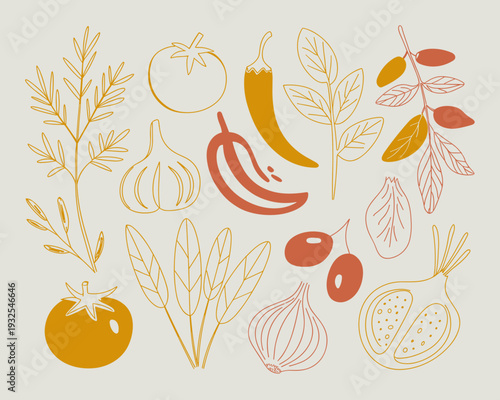 Hand Drawn Vegetables and Herbs Set – Tomato, Garlic, Chili, Carrot, Onion, Basil Botanical Food Illustrations