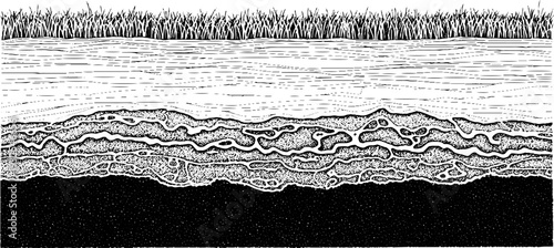 Detailed black and white illustration of a soil cross-section showing grass, water, and rock layers.