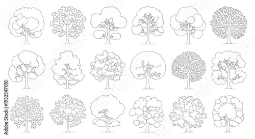 CAD Tree Top View Outline Set – Architectural Landscape Plan Vector Illustration