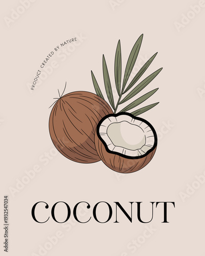 Coconut Botanical Illustration – Tropical Fruit Logo with Palm Leaf Design