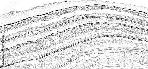 Detailed scientific illustration of soil layers, rock strata, and cross-section of the earth