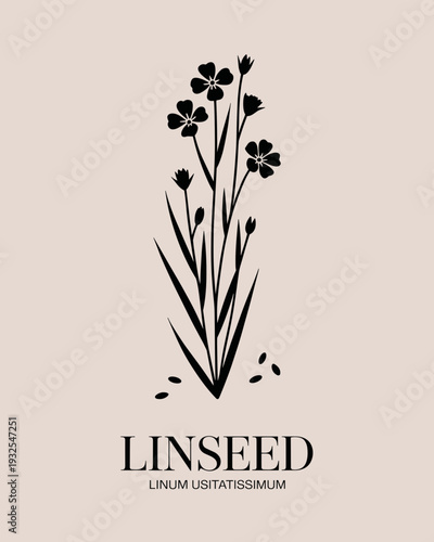 Linseed Botanical Illustration – Linum Usitatissimum Minimalist Herbal Plant Logo Design