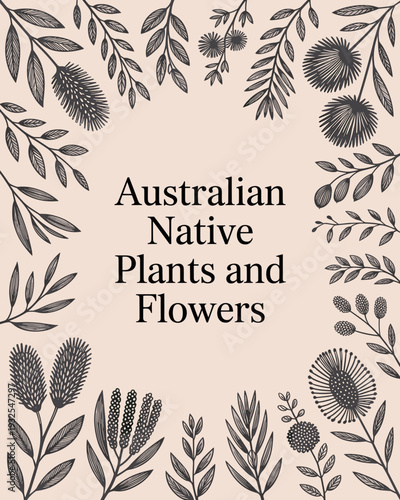 Australian Native Plants and Flowers Botanical Frame – Vintage Floral Line Art Illustration
