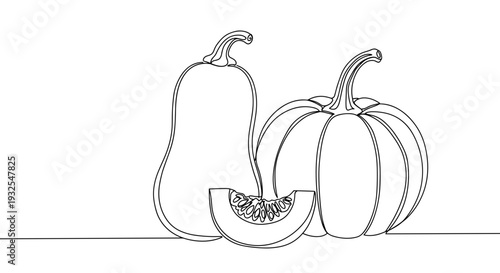 Monoline illustration of various squash vegetables on a transparent background, including butternut, acorn, and spaghetti, showcasing unique shapes and sizes.