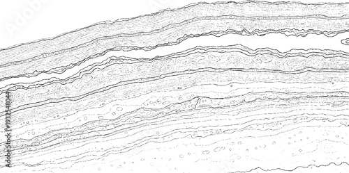 Detailed black and white abstract geological cross-section, layered rock and soil textures, natural patterns