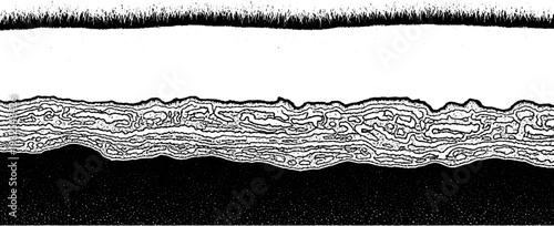 Abstract black and white graphic illustration of soil strata layers, with grass at the top, detailed texture