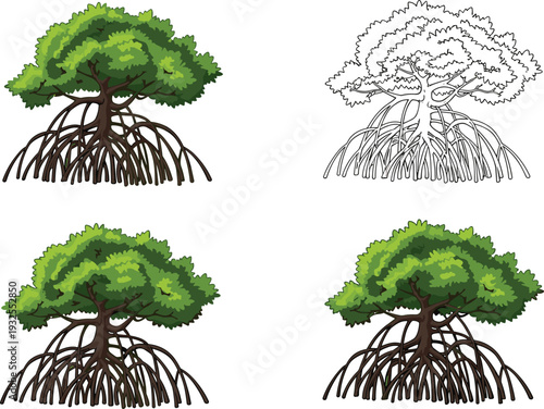 Set of four mangrove tree illustrations, featuring green foliage, complex stilt roots, full color versions, and one black vector outline.