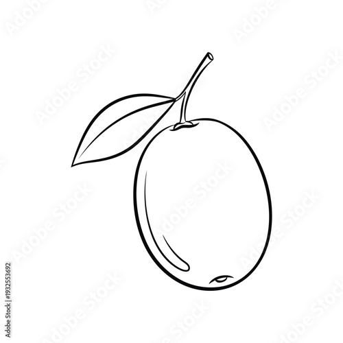 Minimalist Mango Fruit Sweet Tropical Produce Outline Line Art Vector illustration