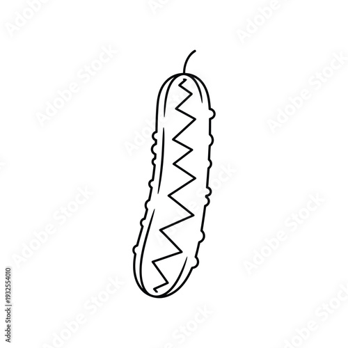 Pickle Gherkin Bumpy Cucumber Fresh Preserved Vegetable Outline Line Art Vector illustration