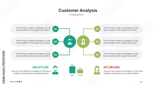 Customer Analysis Infographic with Demographic Segmentation