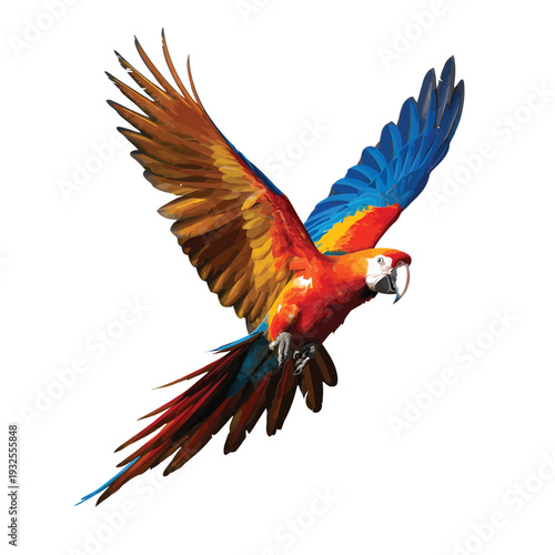 A vibrant blue and red macaw soars with wings fully extended in flight