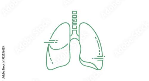 Anatomical Illustration of Human Lungs and Trachea.