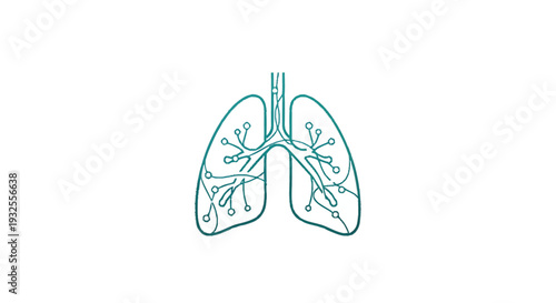 Anatomical Illustration of Human Lungs with Branching Airways.