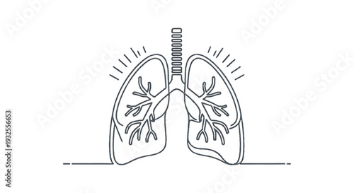 Anatomical Illustration of Human Lungs in Continuous Line Art Style.