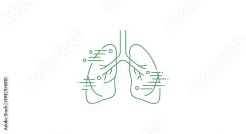Anatomical illustration of human lungs with detailed bronchi and alveoli.