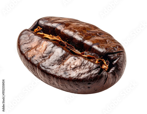Close-up view of a single roasted coffee bean with rich brown color and texture