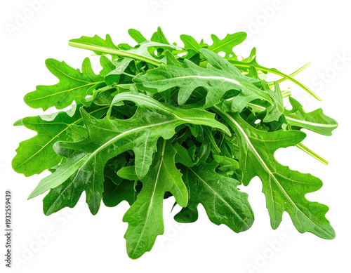 Fresh, vibrant green leafy vegetables piled high