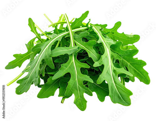 Fresh green arugula leaves pile on black background