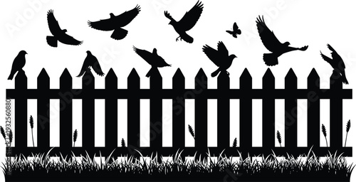 Black and white vector silhouette of birds flying and perched on a wooden garden fence with grass and butterfly for nature landscape design