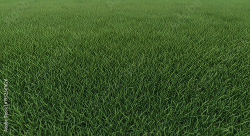 A close up view of a lush green grassy field with dense blades of grass