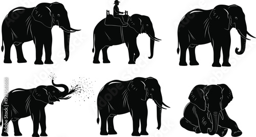 Black Elephant Silhouette Vector Set With African Wildlife Animals Spraying Water And Riding Isolated On White Background For Nature Design