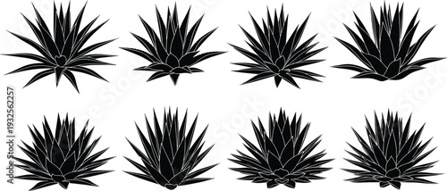 Black Silhouette Vector Set of Agave and Aloe Vera Succulent Plants Isolated on White Background for Desert Landscape Design and Illustration