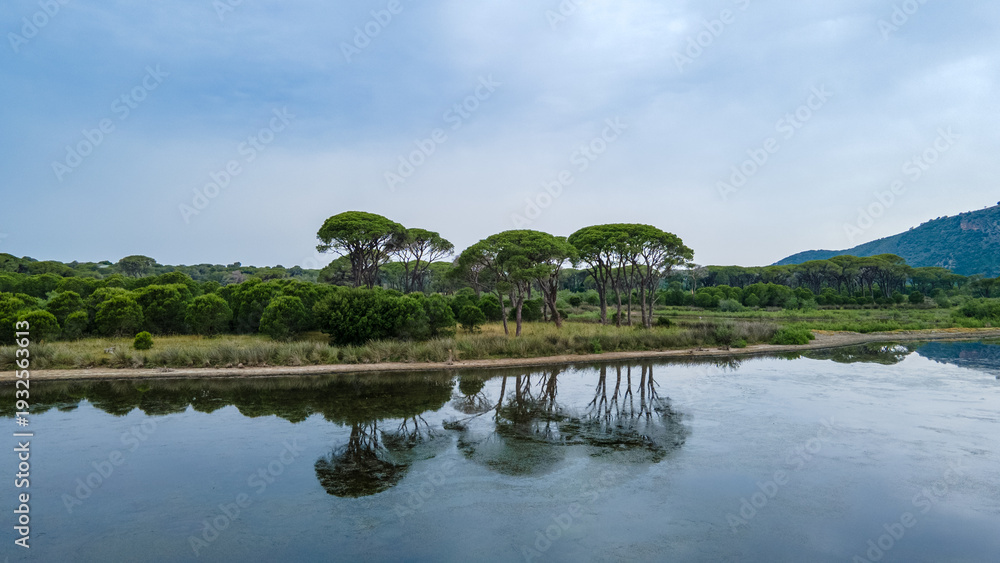 Obraz premium Jungle view