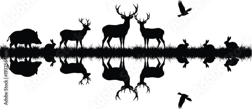 Forest wildlife landscape silhouette with reflection, deer elk boar rabbit bird in meadow, cad drawing flat vector illustration, nature scene,