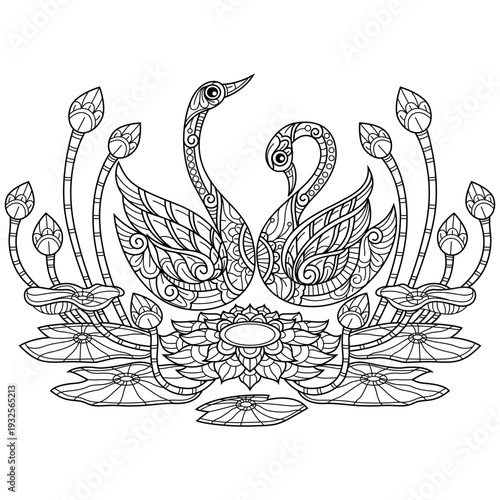 Hand Drawn Of Swans and Lotus Flowers Line Art for Coloring Book