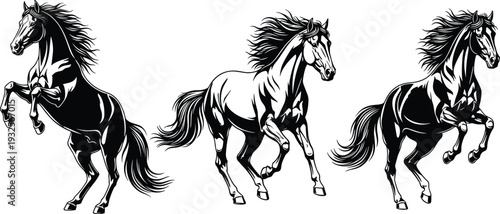 Wild horse silhouette set, stallion rearing and galloping collection, mustang action poses, cad drawing flat vector illustration, isolated on white