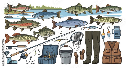 Fishing gear and various fish species arranged for angling activities.