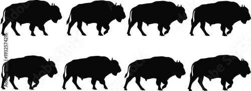American bison silhouettes collection featuring walking buffalo in side view poses, wildlife animal illustration set in black and white vector design