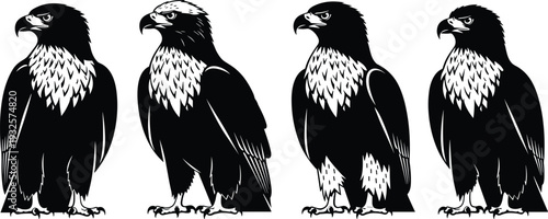 Bald eagle silhouette vector set featuring detailed majestic bird of prey illustrations isolated on white background for wildlife logo and patriotic design