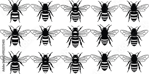 Bee silhouette collection featuring detailed honeybee insect illustrations in black and white vector set isolated for nature, ecology and pollination design