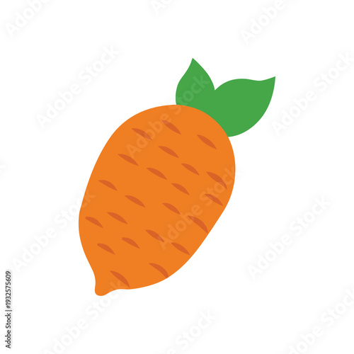 Orange fruit with mint leaves vector illustration