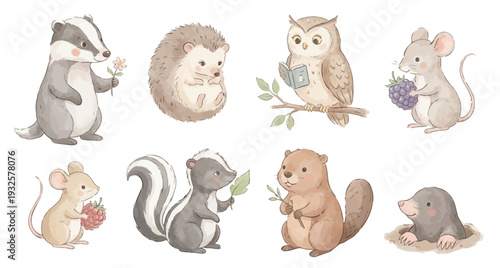 Watercolor woodland animals clipart set with badger, owl, hedgehog mouse fun. Collection of Vector illustrations. Perfect for invitation, card, poster, banner, decoration