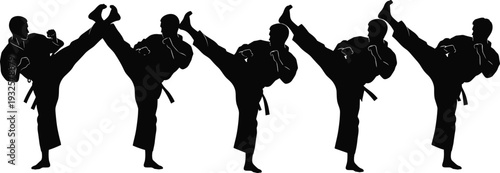 Martial arts silhouettes, high kick poses, traditional uniform, discipline, fitness, training technique, combat sport – flat vector illustration
